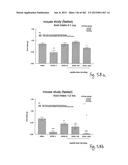 OXYNTOMODULIN ANALOGUES AND THEIR EFFECTS ON FEEDING BEHAVIOUR diagram and image