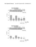 OXYNTOMODULIN ANALOGUES AND THEIR EFFECTS ON FEEDING BEHAVIOUR diagram and image