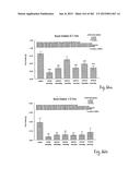 OXYNTOMODULIN ANALOGUES AND THEIR EFFECTS ON FEEDING BEHAVIOUR diagram and image