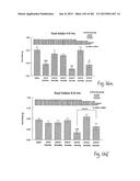 OXYNTOMODULIN ANALOGUES AND THEIR EFFECTS ON FEEDING BEHAVIOUR diagram and image