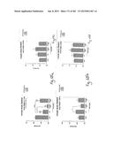 OXYNTOMODULIN ANALOGUES AND THEIR EFFECTS ON FEEDING BEHAVIOUR diagram and image