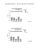 OXYNTOMODULIN ANALOGUES AND THEIR EFFECTS ON FEEDING BEHAVIOUR diagram and image