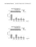 OXYNTOMODULIN ANALOGUES AND THEIR EFFECTS ON FEEDING BEHAVIOUR diagram and image