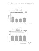 OXYNTOMODULIN ANALOGUES AND THEIR EFFECTS ON FEEDING BEHAVIOUR diagram and image