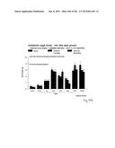 OXYNTOMODULIN ANALOGUES AND THEIR EFFECTS ON FEEDING BEHAVIOUR diagram and image