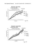 OXYNTOMODULIN ANALOGUES AND THEIR EFFECTS ON FEEDING BEHAVIOUR diagram and image