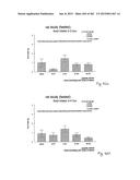 OXYNTOMODULIN ANALOGUES AND THEIR EFFECTS ON FEEDING BEHAVIOUR diagram and image