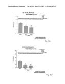 OXYNTOMODULIN ANALOGUES AND THEIR EFFECTS ON FEEDING BEHAVIOUR diagram and image