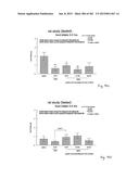 OXYNTOMODULIN ANALOGUES AND THEIR EFFECTS ON FEEDING BEHAVIOUR diagram and image