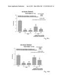 OXYNTOMODULIN ANALOGUES AND THEIR EFFECTS ON FEEDING BEHAVIOUR diagram and image