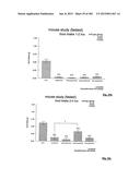 OXYNTOMODULIN ANALOGUES AND THEIR EFFECTS ON FEEDING BEHAVIOUR diagram and image