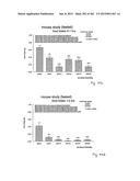 OXYNTOMODULIN ANALOGUES AND THEIR EFFECTS ON FEEDING BEHAVIOUR diagram and image