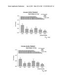 OXYNTOMODULIN ANALOGUES AND THEIR EFFECTS ON FEEDING BEHAVIOUR diagram and image