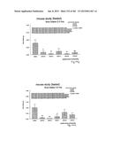 OXYNTOMODULIN ANALOGUES AND THEIR EFFECTS ON FEEDING BEHAVIOUR diagram and image