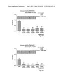 OXYNTOMODULIN ANALOGUES AND THEIR EFFECTS ON FEEDING BEHAVIOUR diagram and image