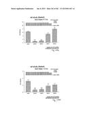 OXYNTOMODULIN ANALOGUES AND THEIR EFFECTS ON FEEDING BEHAVIOUR diagram and image