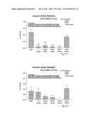 OXYNTOMODULIN ANALOGUES AND THEIR EFFECTS ON FEEDING BEHAVIOUR diagram and image