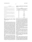 OXYNTOMODULIN ANALOGUES AND THEIR EFFECTS ON FEEDING BEHAVIOUR diagram and image