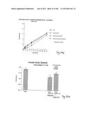 OXYNTOMODULIN ANALOGUES AND THEIR EFFECTS ON FEEDING BEHAVIOUR diagram and image