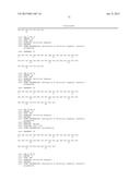 OXYNTOMODULIN ANALOGUES AND THEIR EFFECTS ON FEEDING BEHAVIOUR diagram and image