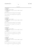 OXYNTOMODULIN ANALOGUES AND THEIR EFFECTS ON FEEDING BEHAVIOUR diagram and image