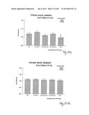 OXYNTOMODULIN ANALOGUES AND THEIR EFFECTS ON FEEDING BEHAVIOUR diagram and image