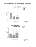 OXYNTOMODULIN ANALOGUES AND THEIR EFFECTS ON FEEDING BEHAVIOUR diagram and image