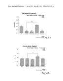 OXYNTOMODULIN ANALOGUES AND THEIR EFFECTS ON FEEDING BEHAVIOUR diagram and image