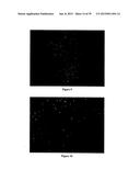 THERAPEUTIC CURCUMIN DERIVATIVES diagram and image