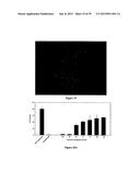 THERAPEUTIC CURCUMIN DERIVATIVES diagram and image