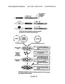 THERAPEUTIC CURCUMIN DERIVATIVES diagram and image