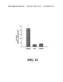 COMPOSITIONS COMPRISING LECITHIN OILS AND NSAIDS FOR PROTECTING THE     GASTROINTESTINAL TRACT AND PROVIDING ENHANCED THERAPEUTIC ACTIVITY diagram and image