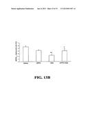 COMPOSITIONS COMPRISING LECITHIN OILS AND NSAIDS FOR PROTECTING THE     GASTROINTESTINAL TRACT AND PROVIDING ENHANCED THERAPEUTIC ACTIVITY diagram and image