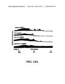 COMPOSITIONS COMPRISING LECITHIN OILS AND NSAIDS FOR PROTECTING THE     GASTROINTESTINAL TRACT AND PROVIDING ENHANCED THERAPEUTIC ACTIVITY diagram and image