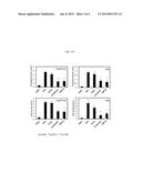 NON-HORMONAL STEROID MODULATORS OF NF-KAPPA BETA FOR TREATMENT OF DISEASE diagram and image