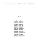 NON-HORMONAL STEROID MODULATORS OF NF-KAPPA BETA FOR TREATMENT OF DISEASE diagram and image