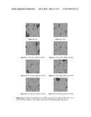 SOLID DISPERSION OF POORLY SOLUBLE COMPOUNDS COMPRISING CROSPOVIDONE AND     AT LEAST ONE WATER-SOLUBLE POLYMER diagram and image