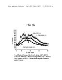 SOLID DISPERSION OF POORLY SOLUBLE COMPOUNDS COMPRISING CROSPOVIDONE AND     AT LEAST ONE WATER-SOLUBLE POLYMER diagram and image