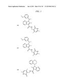 MODULATORS OF METHYL MODIFYING ENZYMES, COMPOSITIONS AND USES THEREOF diagram and image