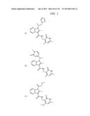 MODULATORS OF METHYL MODIFYING ENZYMES, COMPOSITIONS AND USES THEREOF diagram and image