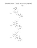 MODULATORS OF METHYL MODIFYING ENZYMES, COMPOSITIONS AND USES THEREOF diagram and image