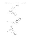 MODULATORS OF METHYL MODIFYING ENZYMES, COMPOSITIONS AND USES THEREOF diagram and image