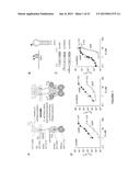 METHODS AND COMPOSITIONS FOR MODULATING IRE1, SRC, AND ABL ACTIVITY diagram and image