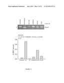 METHODS AND COMPOSITIONS FOR MODULATING IRE1, SRC, AND ABL ACTIVITY diagram and image