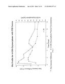 OXYMORPHONE CONTROLLED RELEASE FORMULATIONS diagram and image