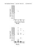 BIN1 EXPRESSION AS A MARKER OF CANCER diagram and image