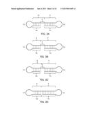 Single-Stranded Nucleic Acid Molecule for Controlling Gene Expression diagram and image