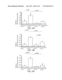 Single-Stranded Nucleic Acid Molecule for Controlling Gene Expression diagram and image