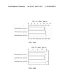 Single-Stranded Nucleic Acid Molecule for Controlling Gene Expression diagram and image