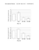 Single-Stranded Nucleic Acid Molecule for Controlling Gene Expression diagram and image